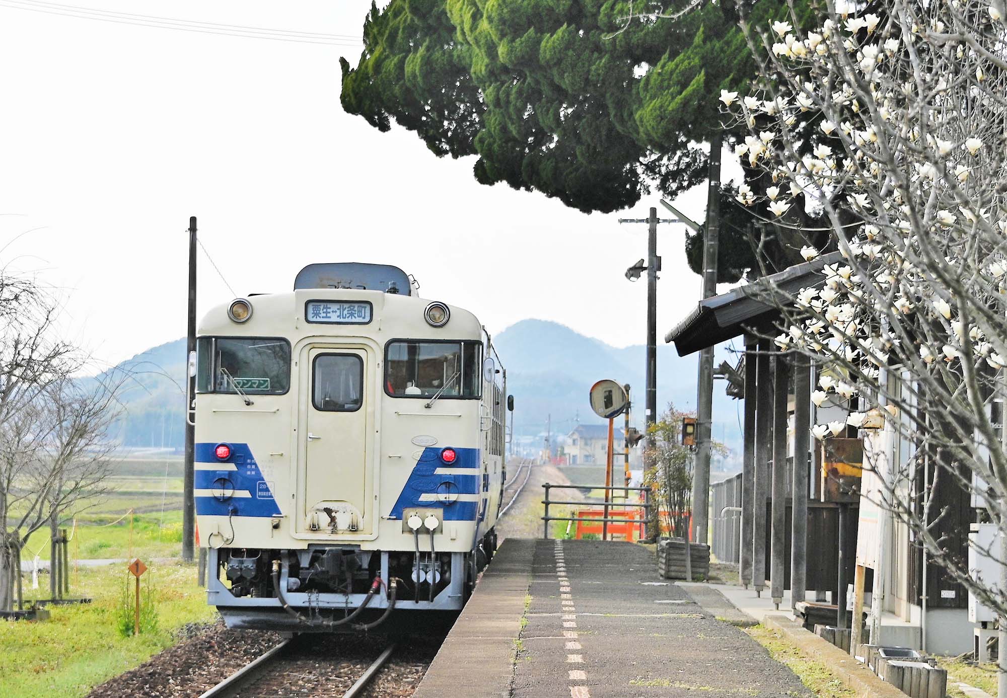 終了】北条鉄道キハ４０に乗って兵庫に挑む東北訛り大合戦！ ー兵庫の